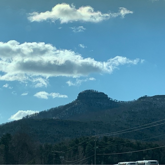 Meet your Posher, Jenni!! Have a lovely day! - Picture 3 of 16